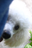 Hi, I'm Angel